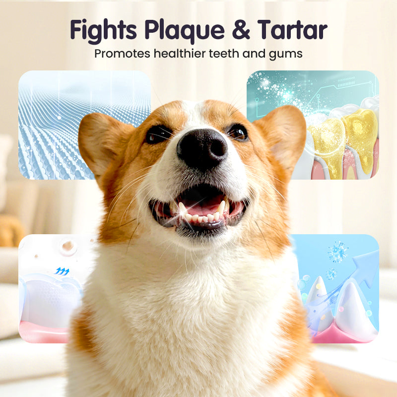 🔥2026 New Arrivals: Teeth Cleaning Spray for Pets.